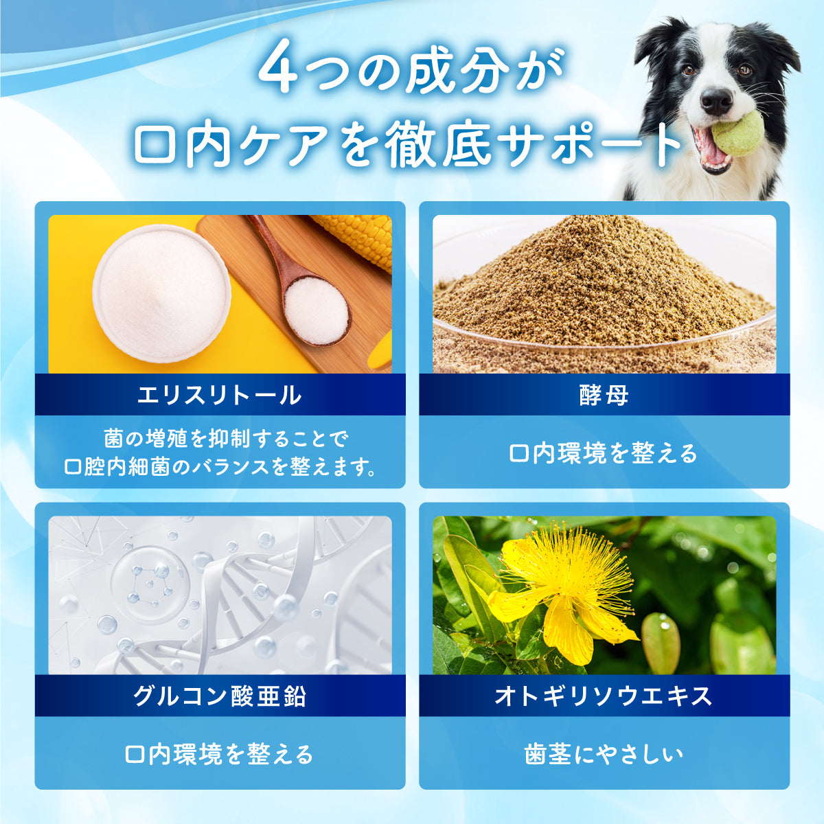 【犬・猫用】口腔ケアウォーター PREMIUM