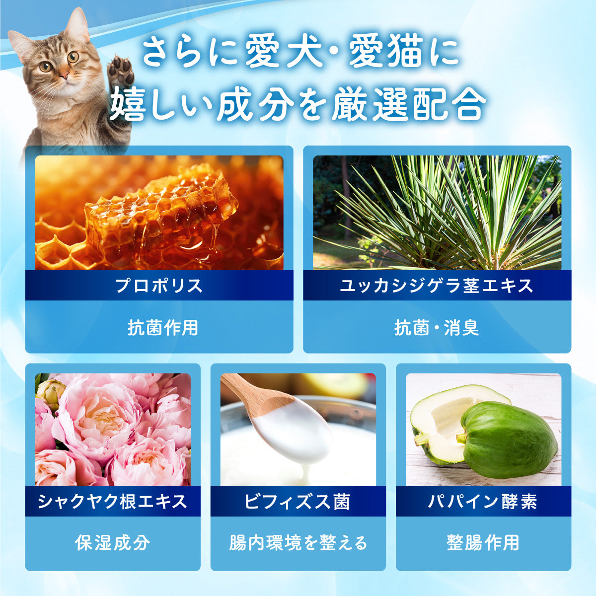 【犬・猫用】口腔ケアウォーター PREMIUM