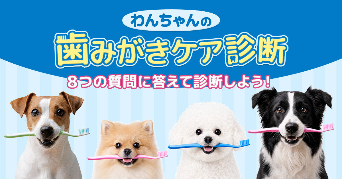 バナー
